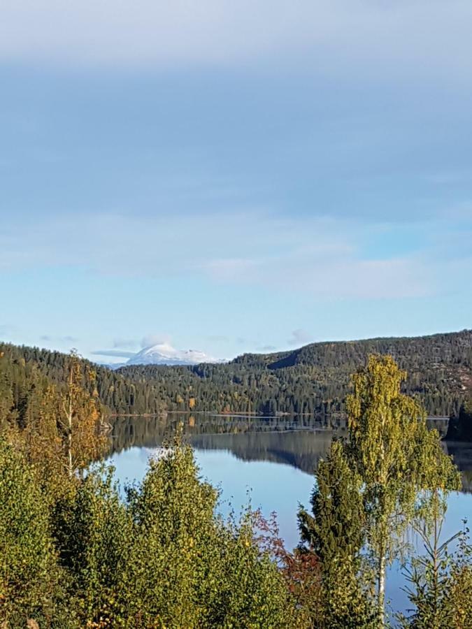 Panorama