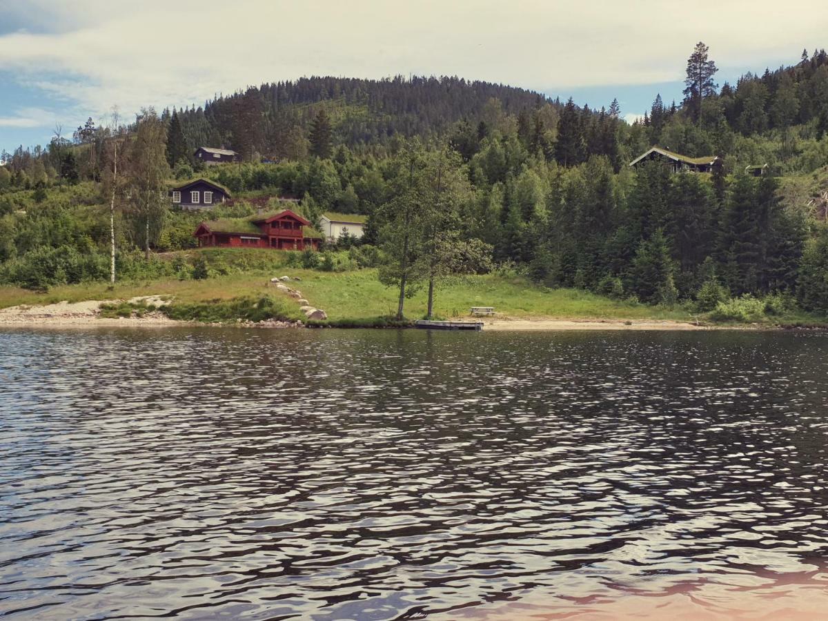 Panorama *